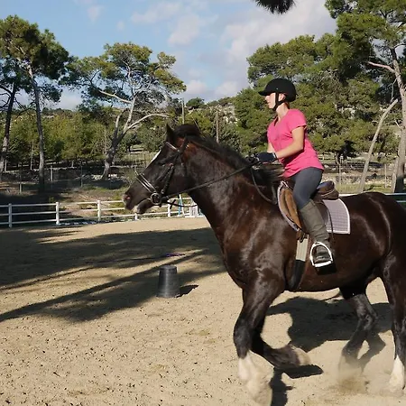 2 Bedroom Loukia With Private Pool And Gardens, Aphrodite Hills Villa *